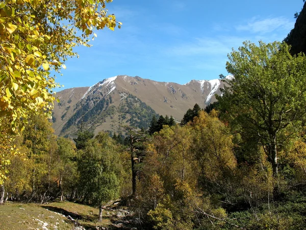 Autunno in montagne di caucaso — Foto Stock