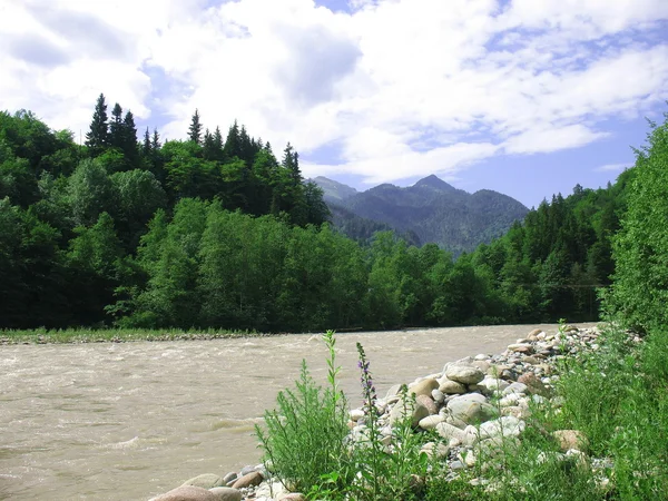 El río de la montaña —  Fotos de Stock