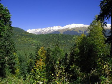 sonbahar Dağları