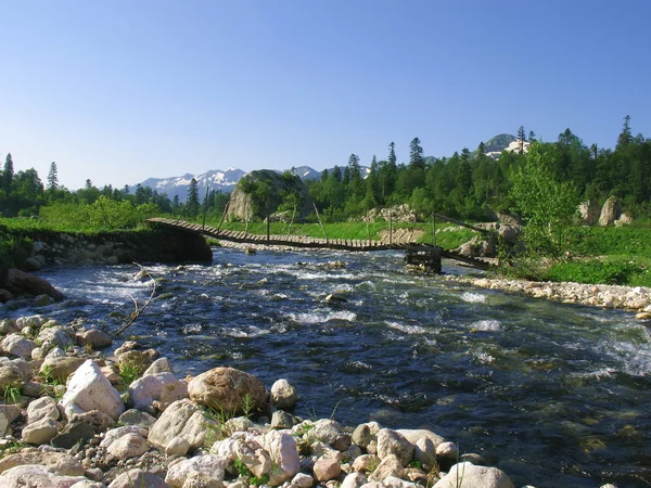 De brug door de rivier — Stockfoto