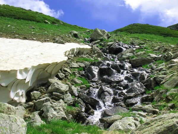 Cours d'eau en montagne — Photo