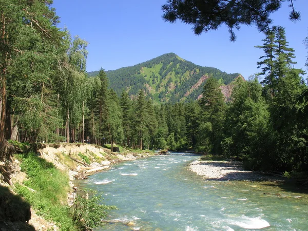 Il fiume di montagna — Foto Stock
