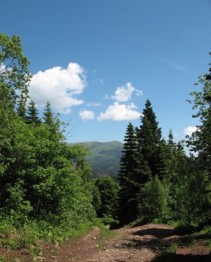 Tahta yol