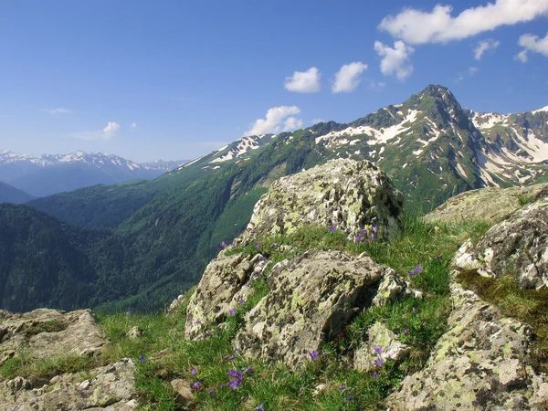 I bergen i Kaukasus — Stockfoto