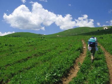 Dağlara giden yol