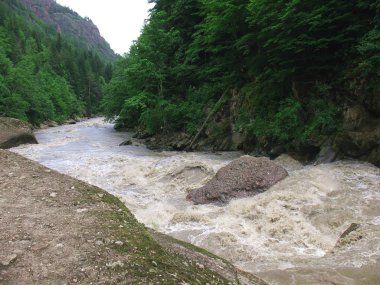 Dağ Nehri