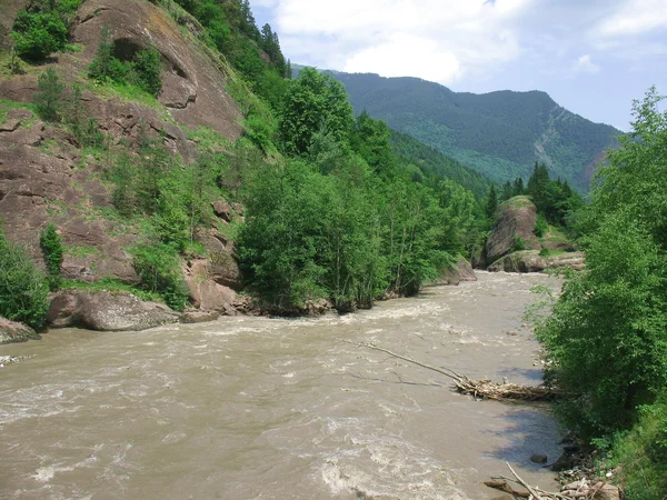El río de la montaña —  Fotos de Stock