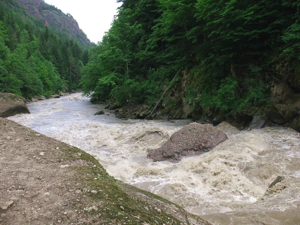 The mountain river — Stock Photo, Image