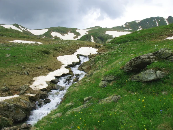 Stream in mountains — Stock Photo, Image