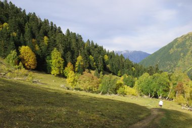 sonbahar Dağları