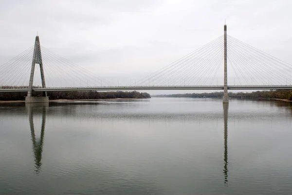 Megyeri bridge — Stock Photo, Image