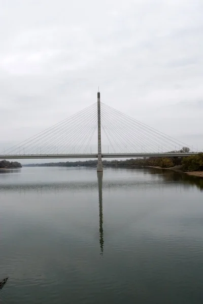 Köprü pilon ve kablolar — Stok fotoğraf