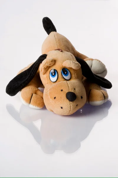 Stock image Brown doggy toy