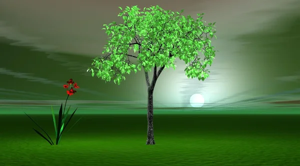 Ağaç ve çiçek — Stok fotoğraf