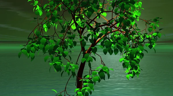 Дерево зелёное — стоковое фото