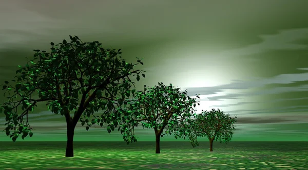 Краєвид дерев зелений — стокове фото