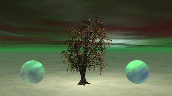Träd och bollar — Stockfoto