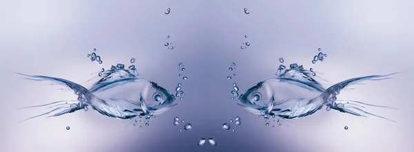 Water Fish 2 — Stock Photo, Image