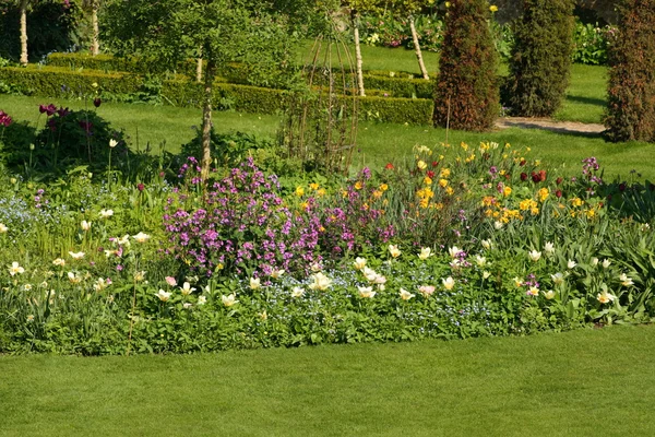 English garden — Stock Photo, Image