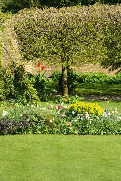 영국식 정원 — 스톡 사진