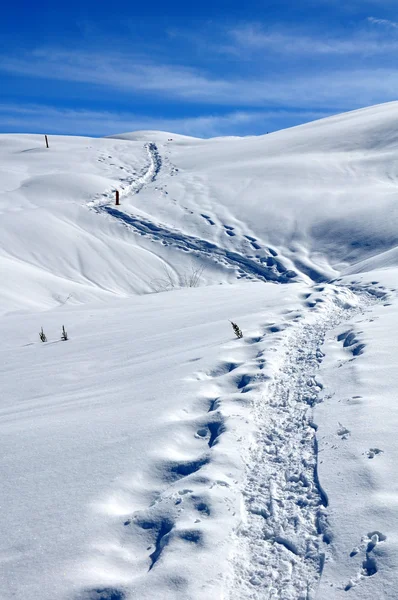 Lane op sneeuw — Stockfoto