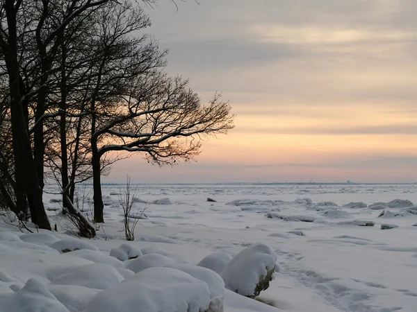 stock image Winter sunset