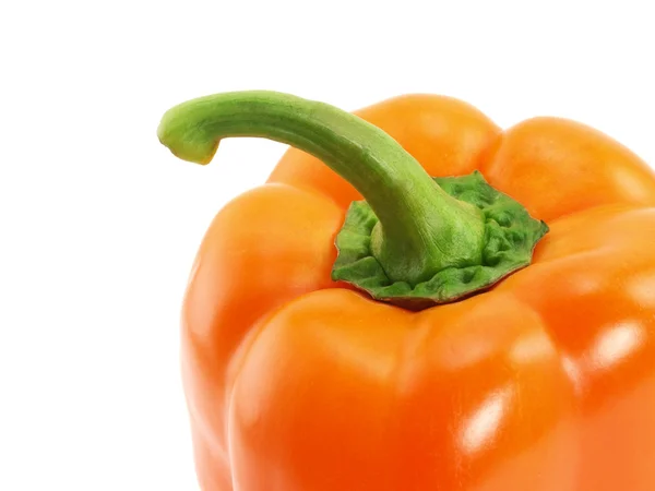 Tip of pepper — Stock Photo, Image