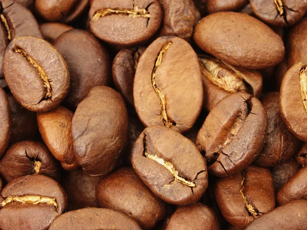 Granos de café en primer plano — Foto de Stock