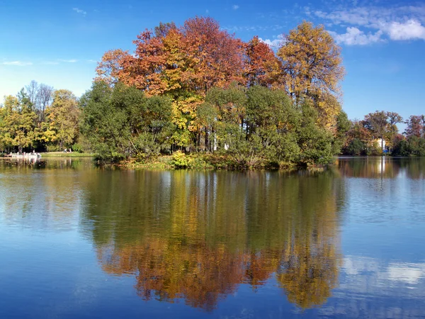 Isla de otoño en un estanque —  Fotos de Stock