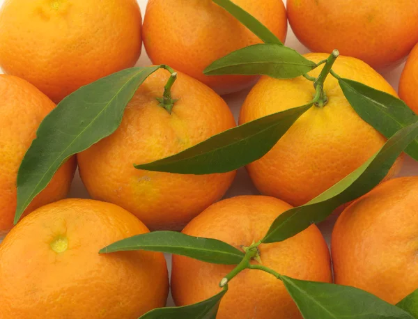 Several juicy mandarin — Stock Photo, Image