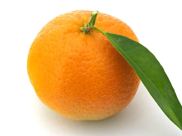 One mandarin — Stock Photo, Image