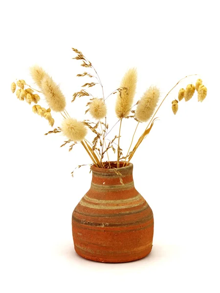 Vases with dried plants — Stock Photo, Image