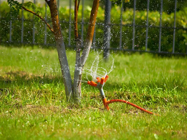 stock image Watering by water