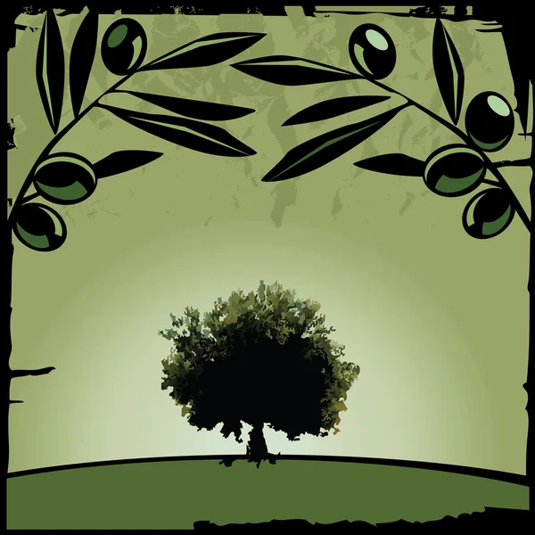 Olivo y ramas — Vector de stock