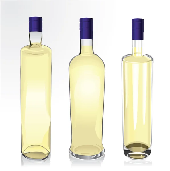 stock vector Realistic vector bottles of spirit