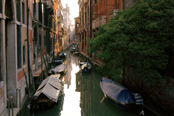 ヴェネツィア,イタリアの運河 — ストック写真