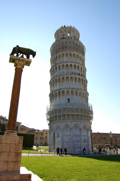 Statua della lupa e torre di Pisa — Foto Stock