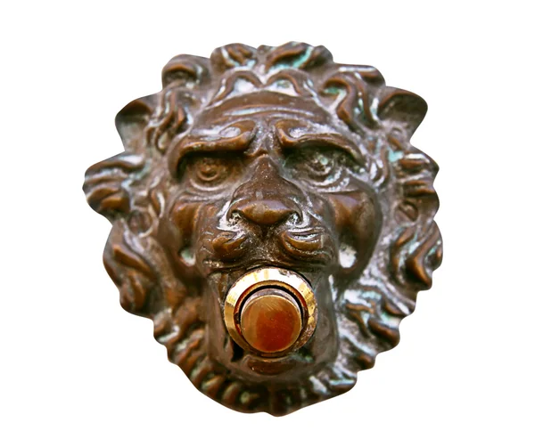 Muzzle of a lion — Stock Photo, Image