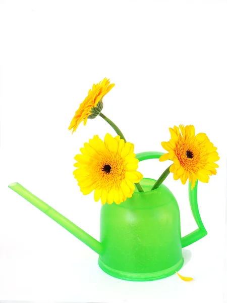 水まき缶と花 — ストック写真