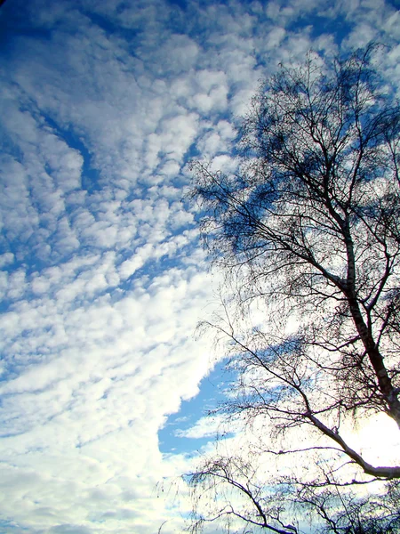 Błękitne niebo chmury. — Zdjęcie stockowe