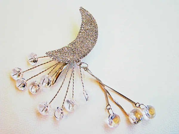 Decorative feminine brooch. — Stockfoto