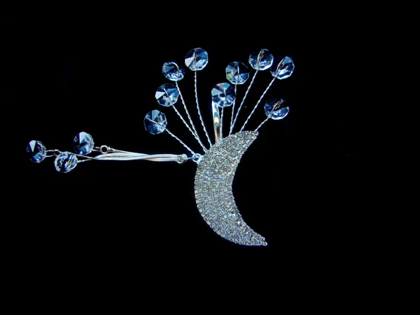 Decorative feminine brooch. — Stockfoto