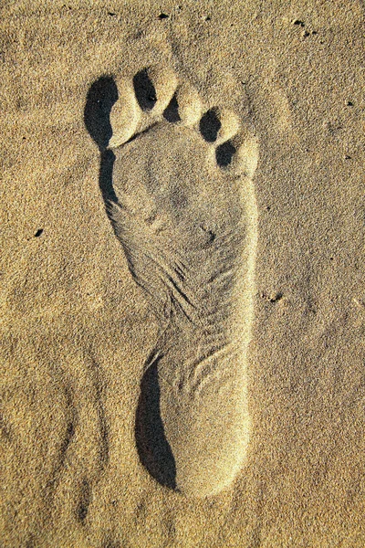 Stampa del piede — Foto Stock