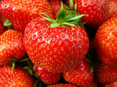 Close up of strawberries clipart