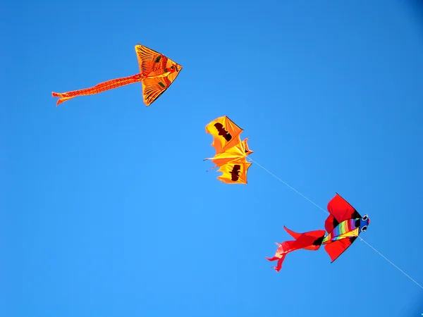 stock image Three flying dragons