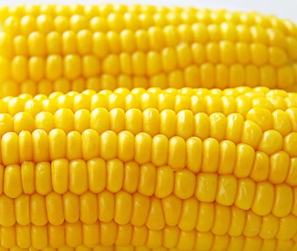 stock image Gold corn