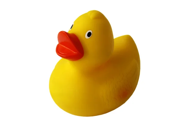 Sarı plastik ördek, — Stok fotoğraf