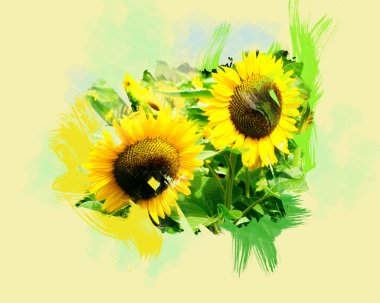 Two sunflowers clipart