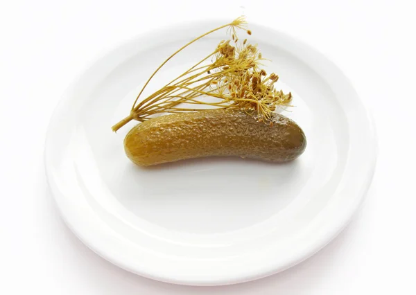 Pickle — Stock fotografie