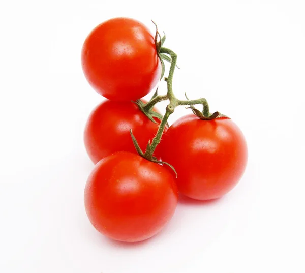 Tomates em um ramo — Fotografia de Stock